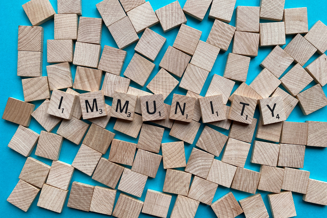 Stay Healthy, Feel Amazing: Easy Habits to Boost Your Immunity